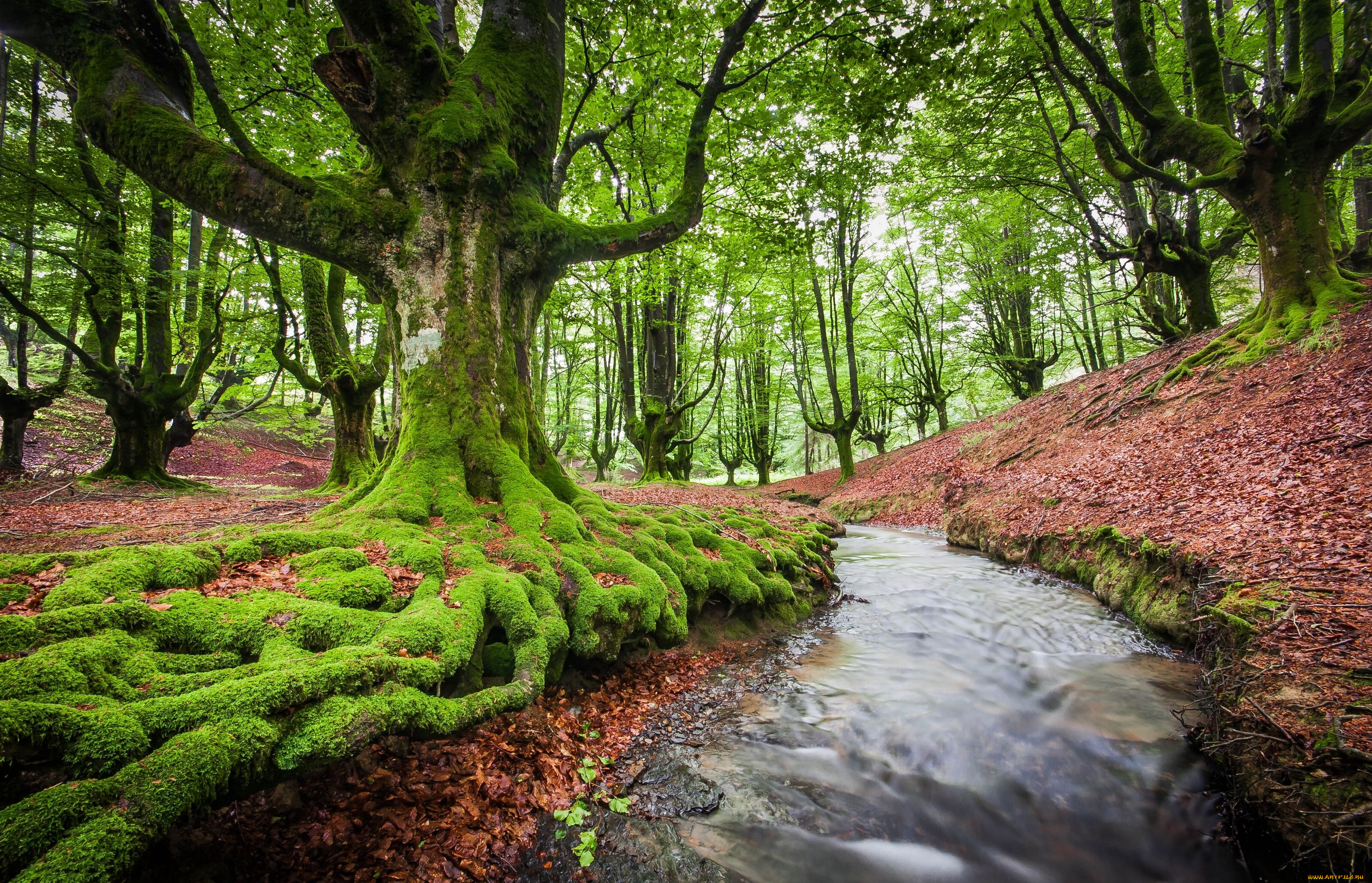 bizkaia, spain, , , , , , , , , 